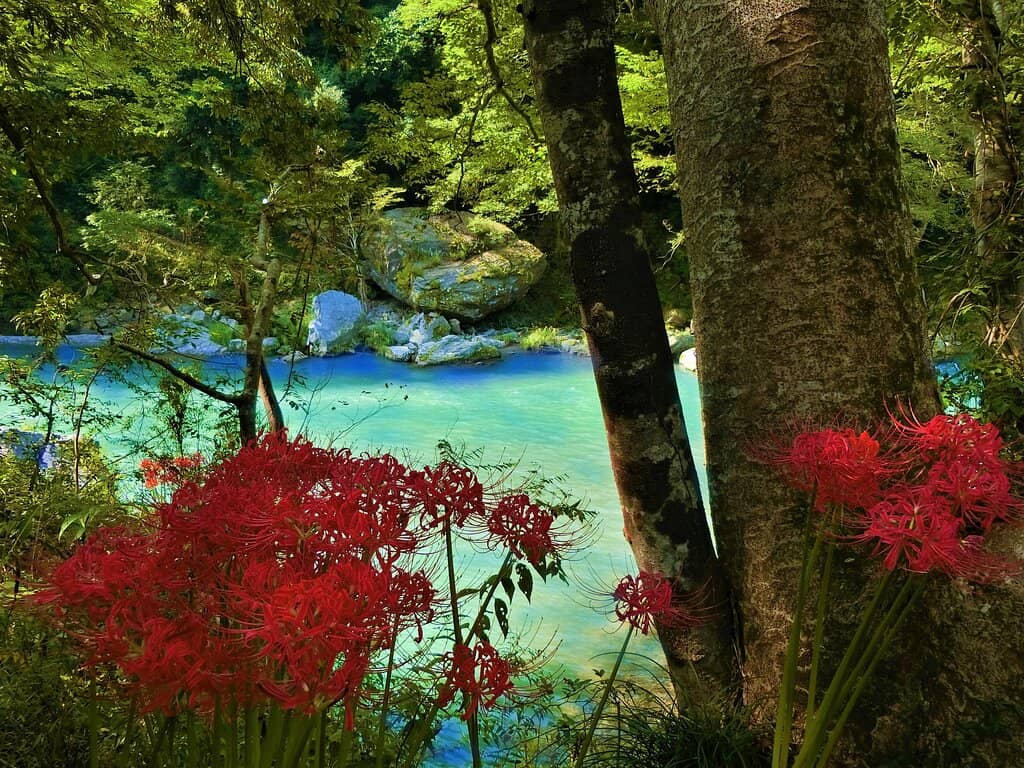 Vertical photo