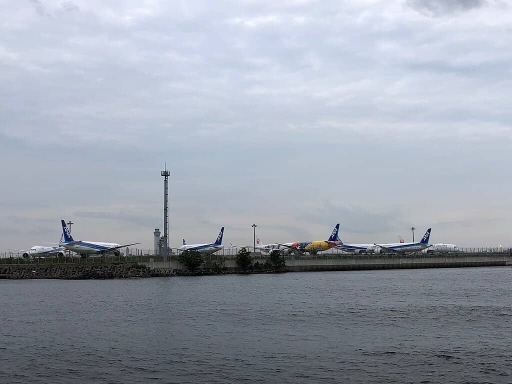 Tokyo Bay Vistas