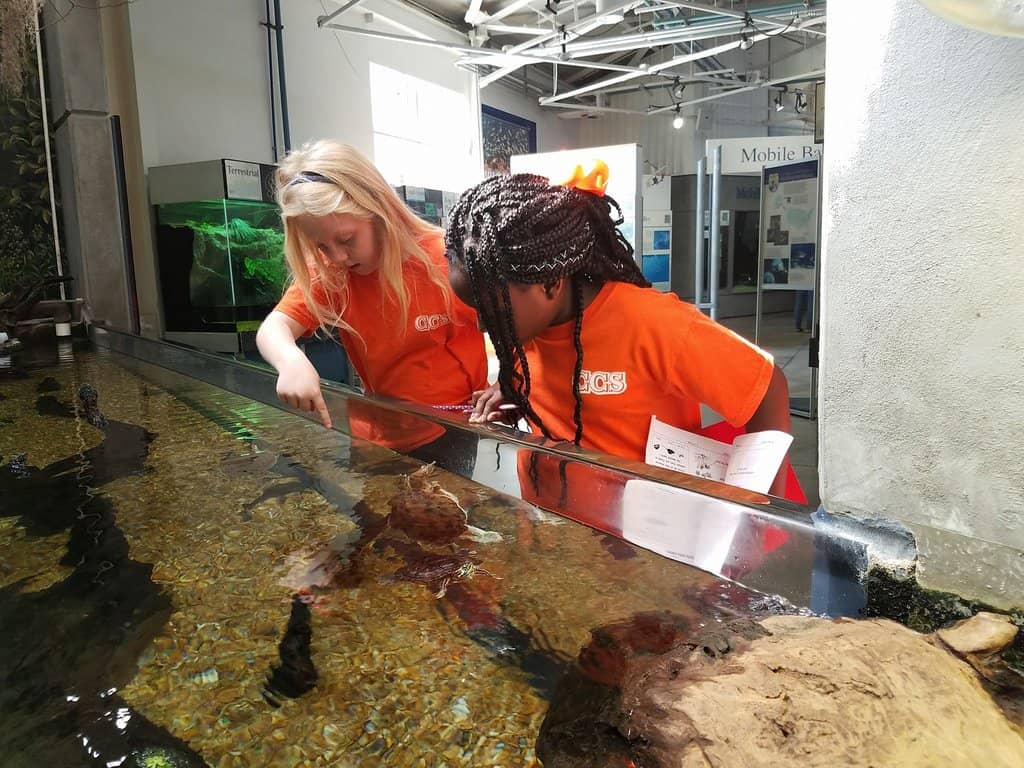 Marine Life Exhibits