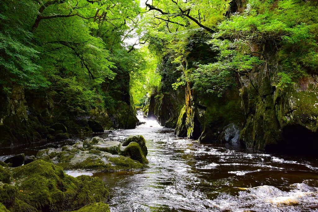 The Enchanting Gorge