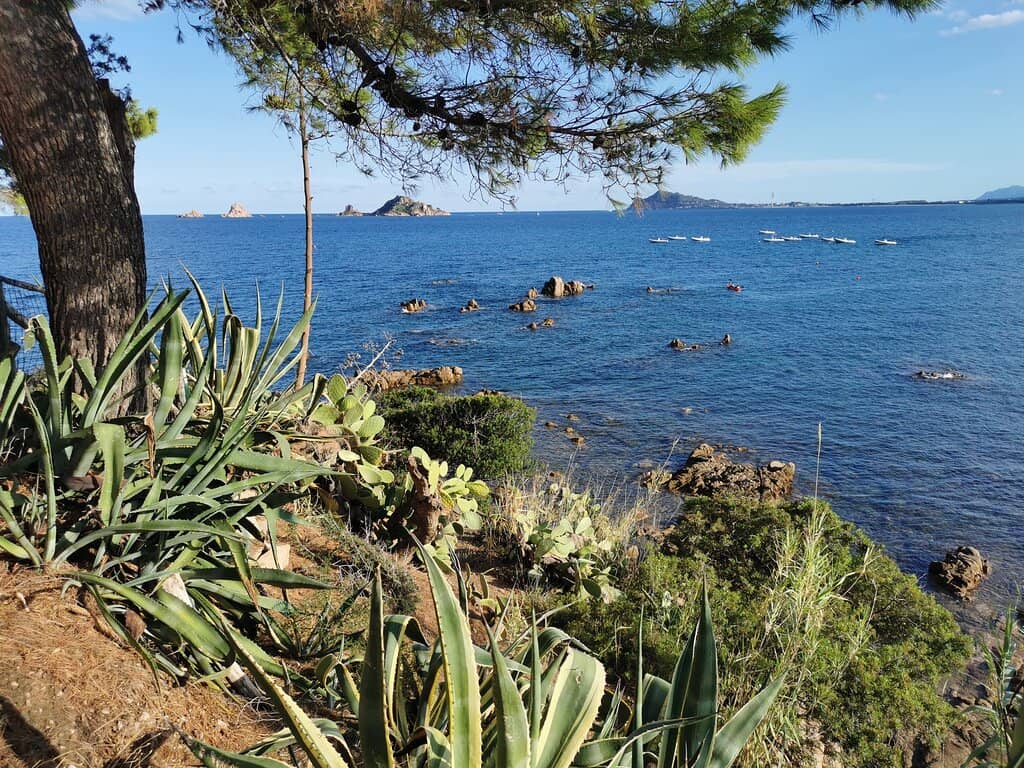 Panoramic Coastal Views