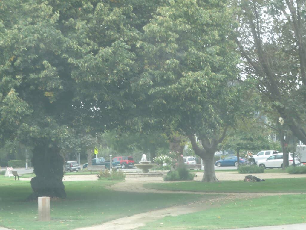 Interpretive Exhibits