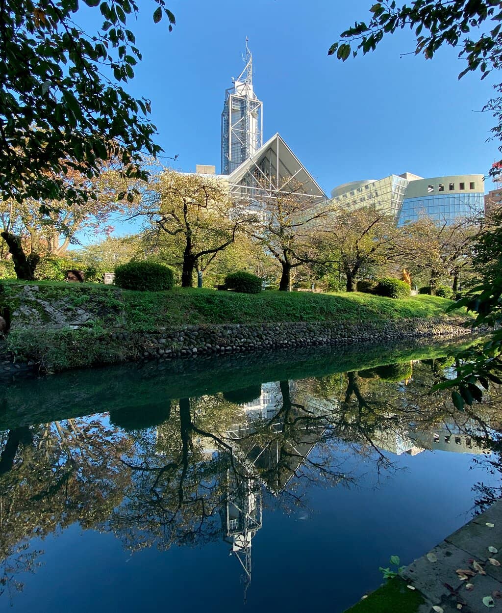 Feeding the River Carp and Trout