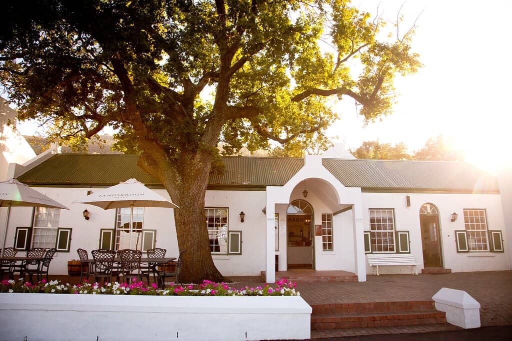 Affordable, Exquisite Wines