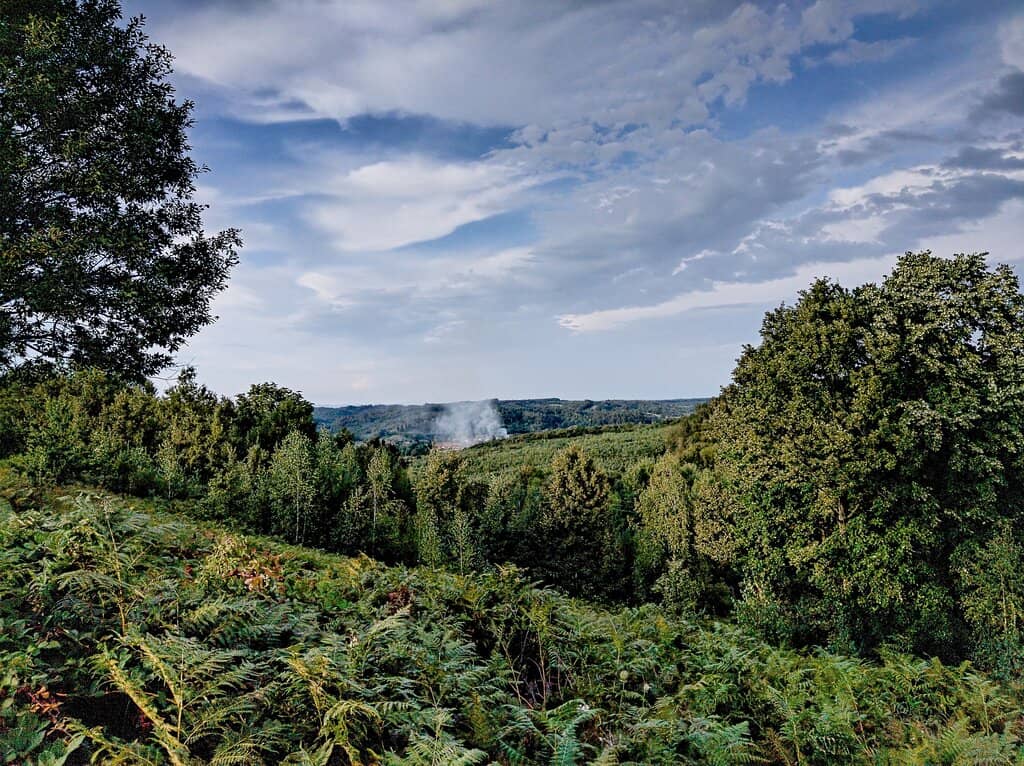 Vibrant Music and DJ Sets