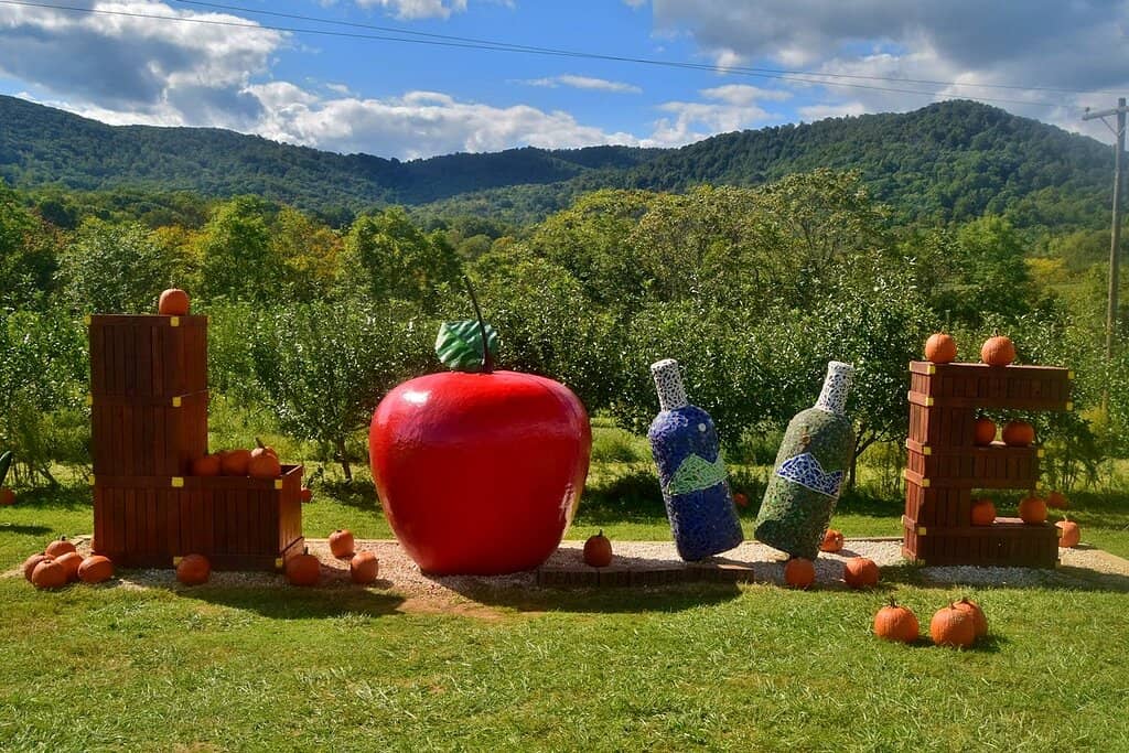 Unique Wine Tastings