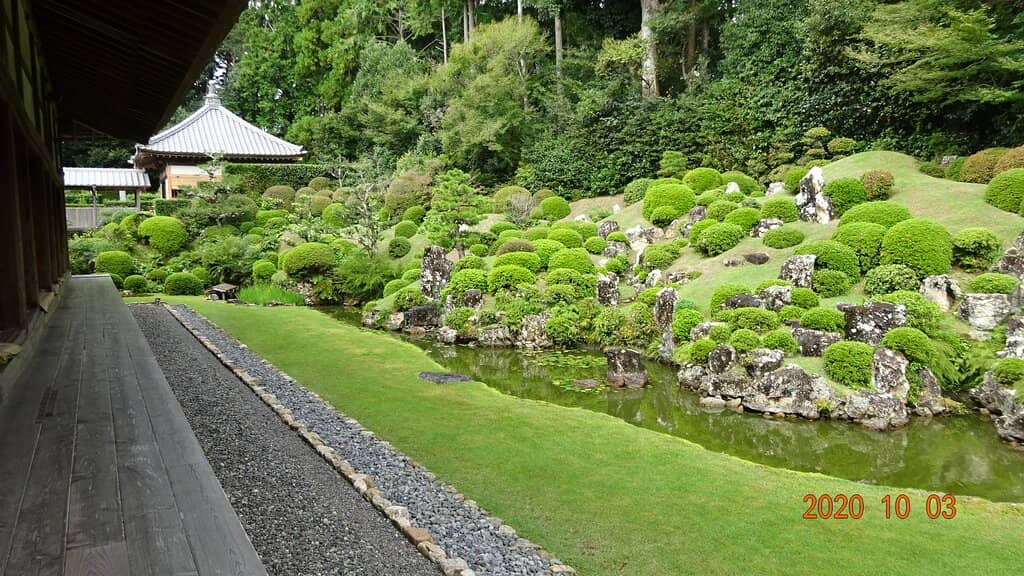 Enclosed Back Garden