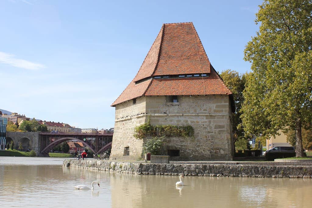 Local Wine Selection