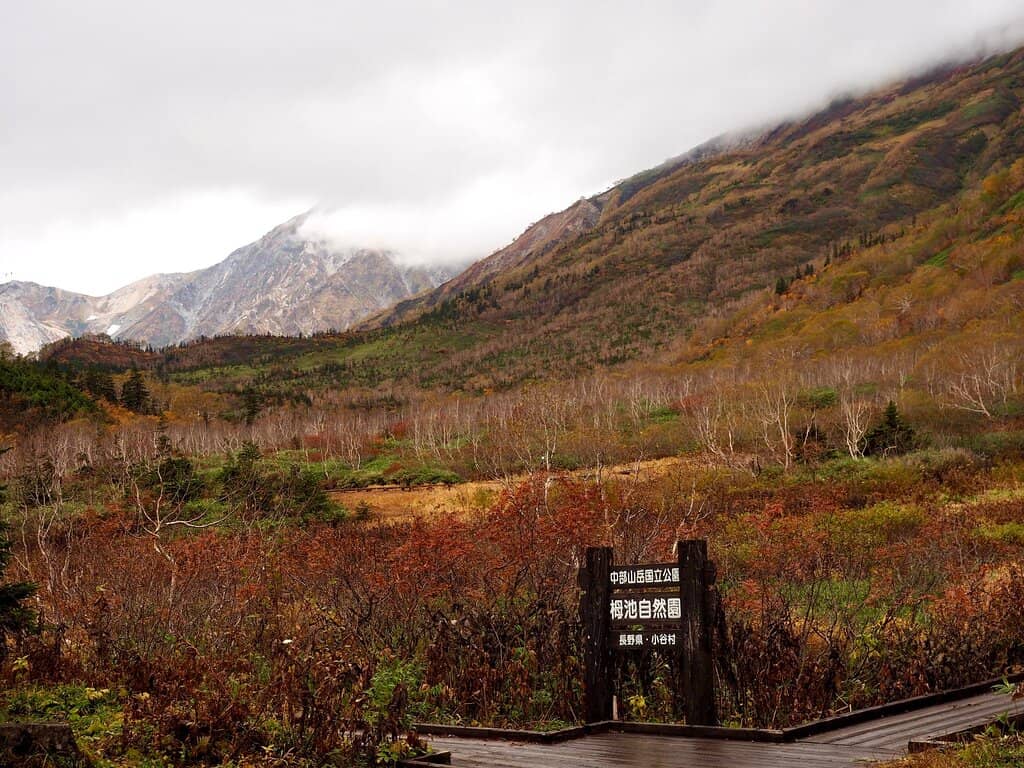 Panoramic Mountain Vistas