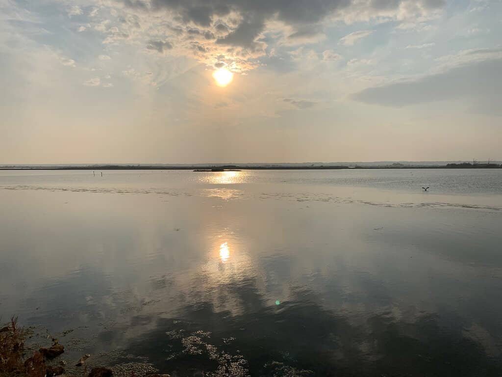 Sunset Serenity