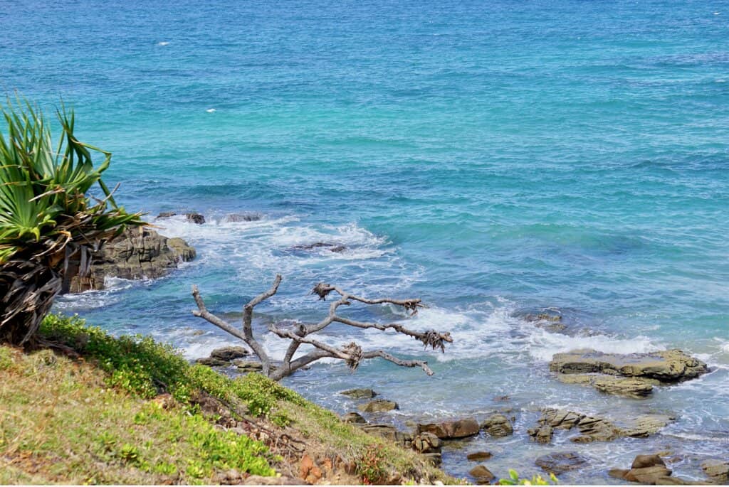 Beach Access & Picnic Area