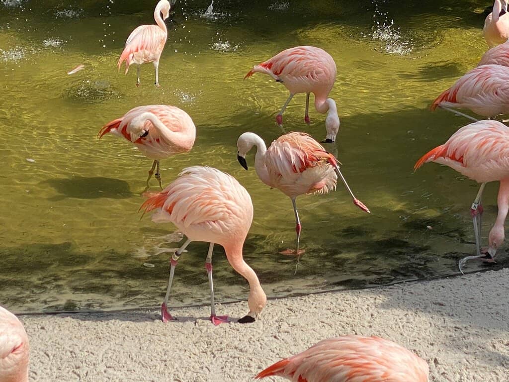 Highland Park Trails