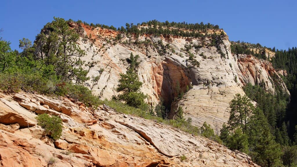 Panoramic Canyon Views