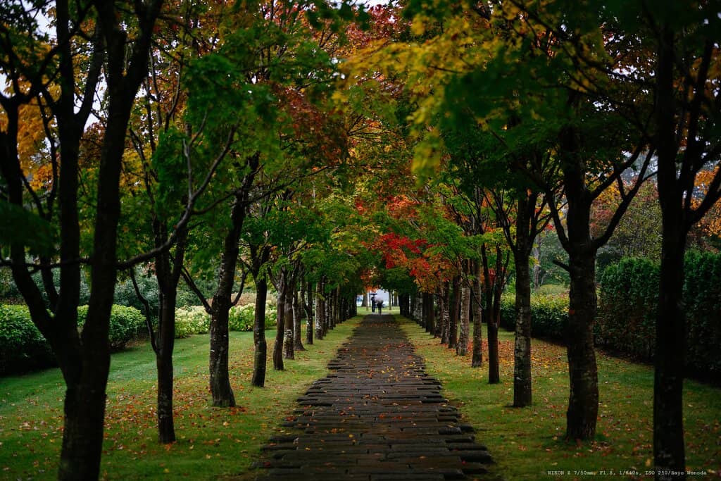 Rokkatei Cafe Delights