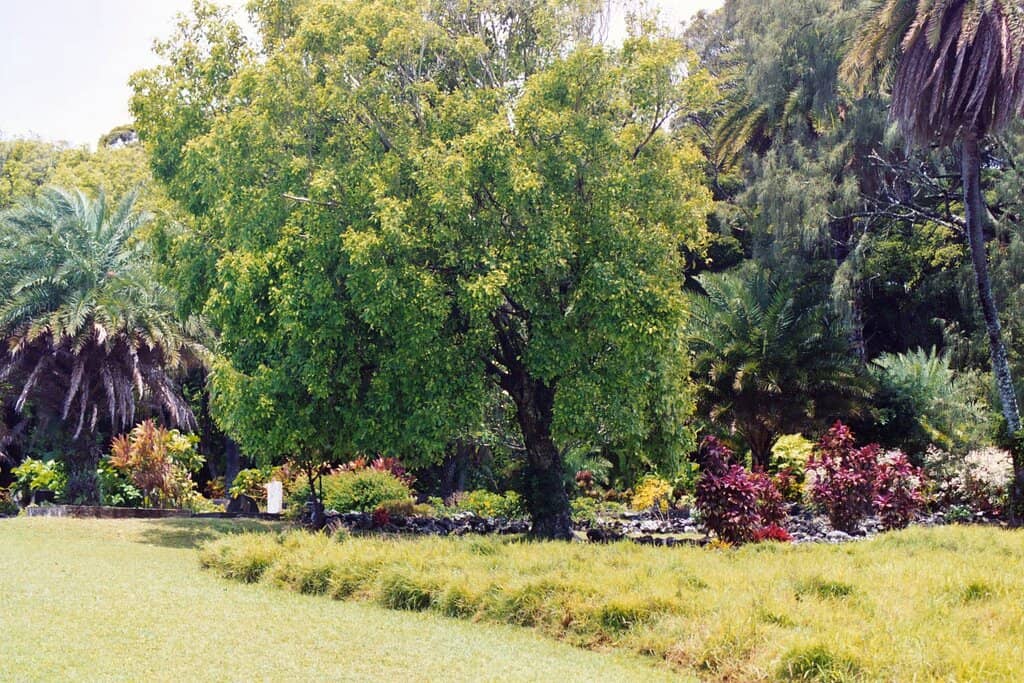 Kipahulu Point Park Ocean View