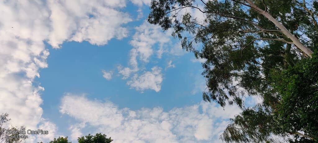 Scrap Art Exhibitions