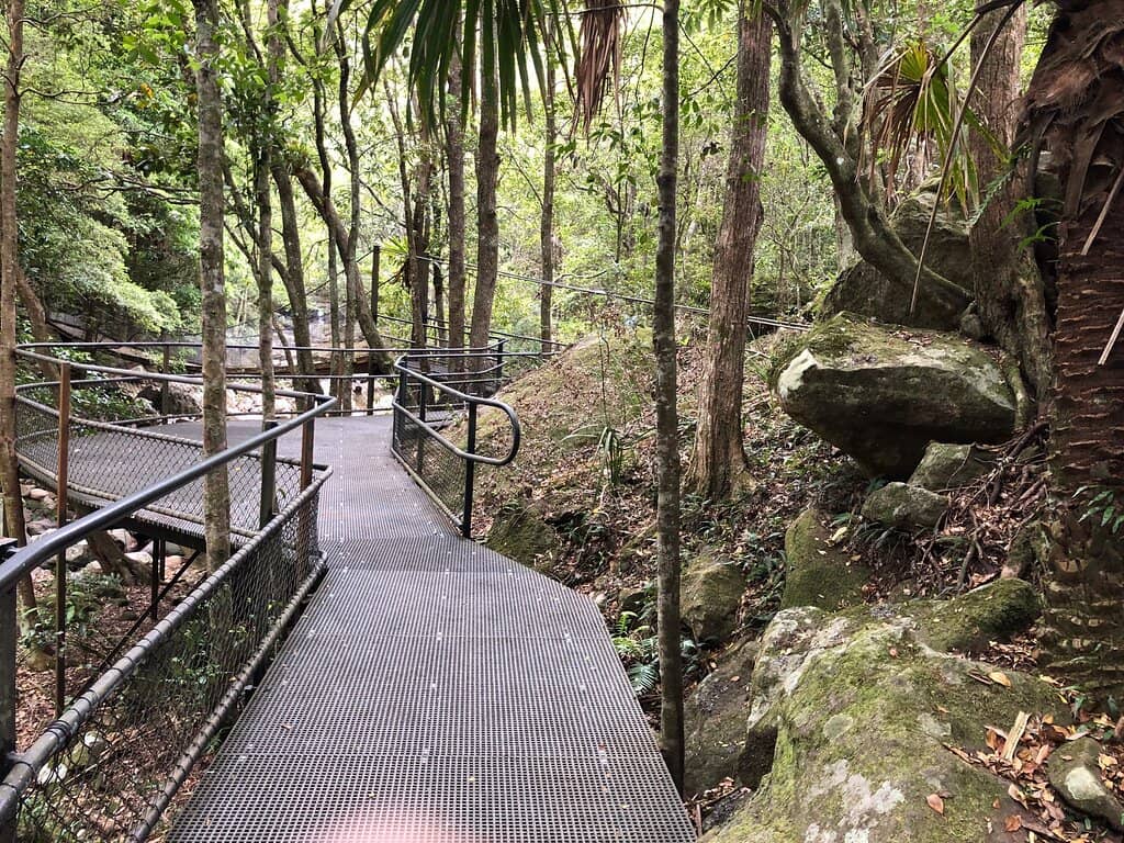 Lyrebird Spotting