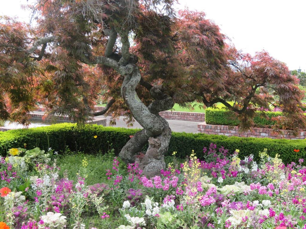 Engaging Storytelling