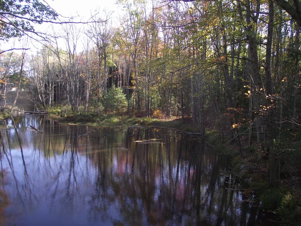 Extensive Trail Network