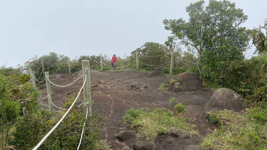 Panoramic Coastal Views