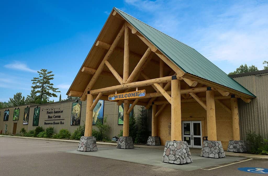 Interactive Wildlife Exhibits