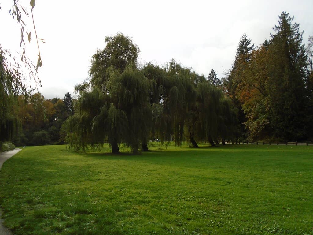 Off-Leash Dog Area