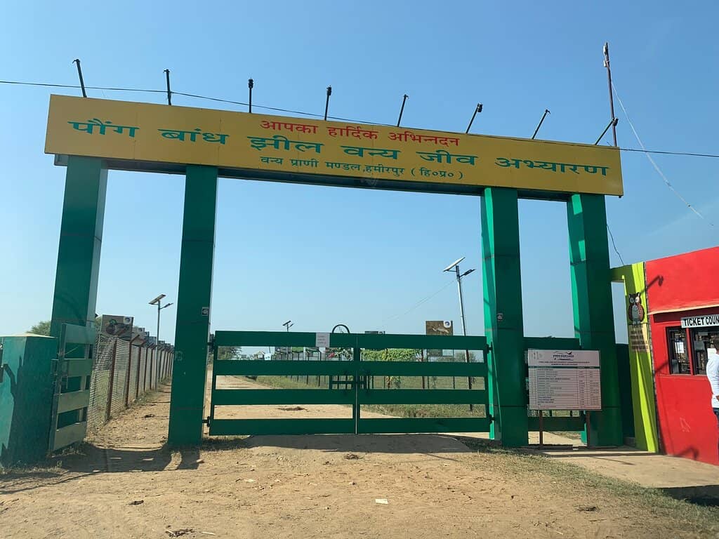 Birdwatcher's Paradise