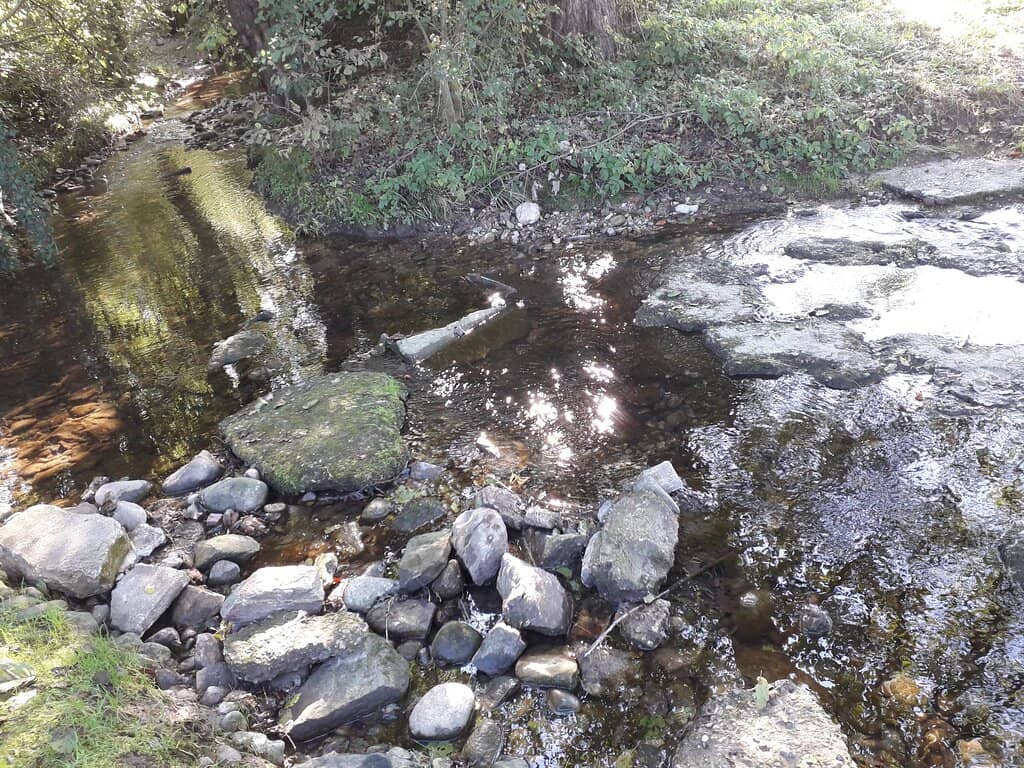 Visitor Center & Volunteers