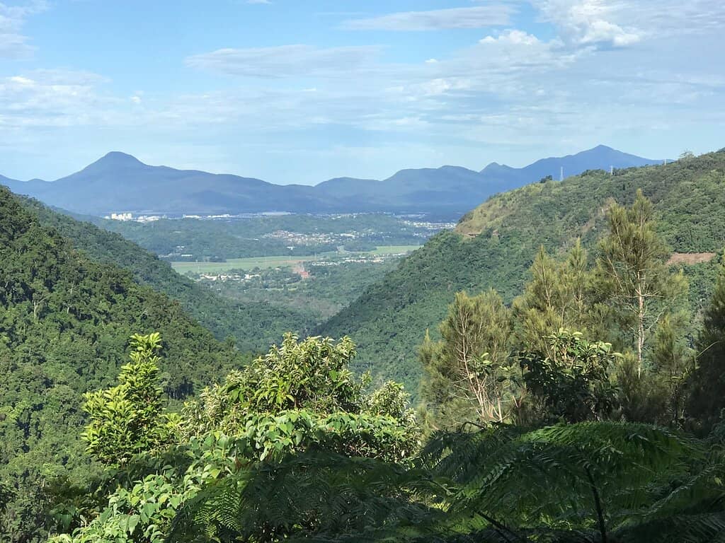 Sweeping Views of Barron Gorge