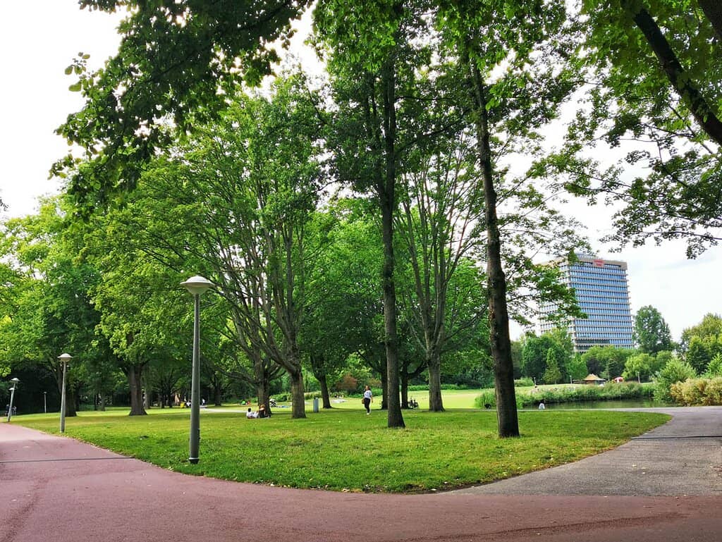 Picnic Paradise