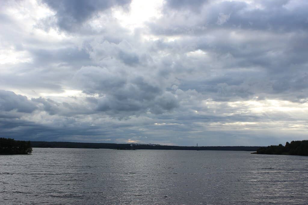 Painted Gothic Vaulting