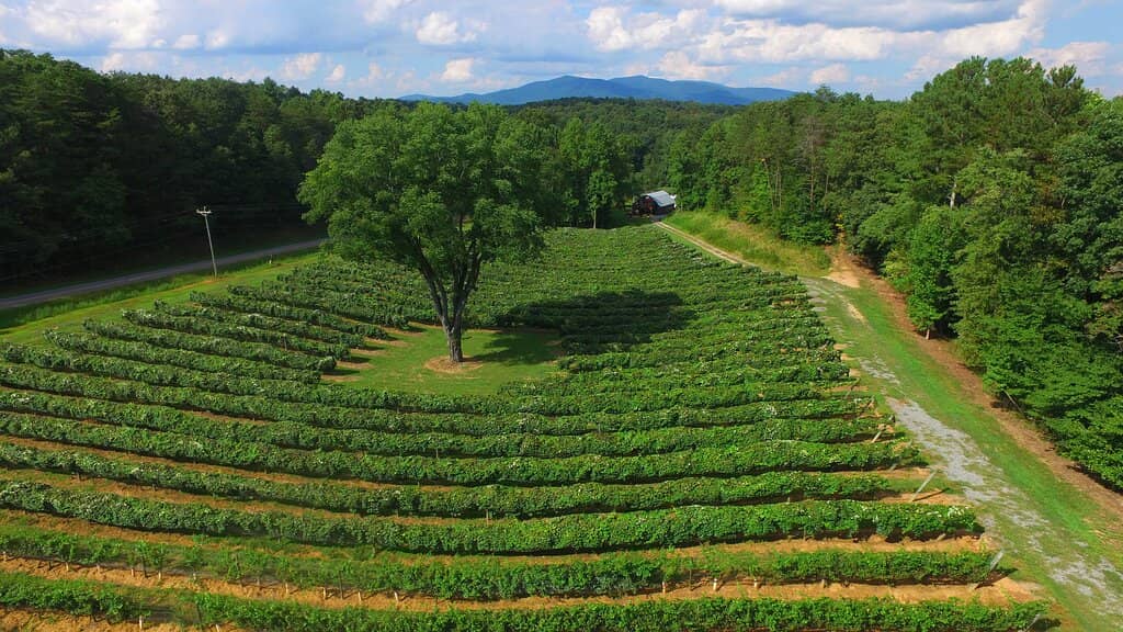 Historic Farmstead Ambiance