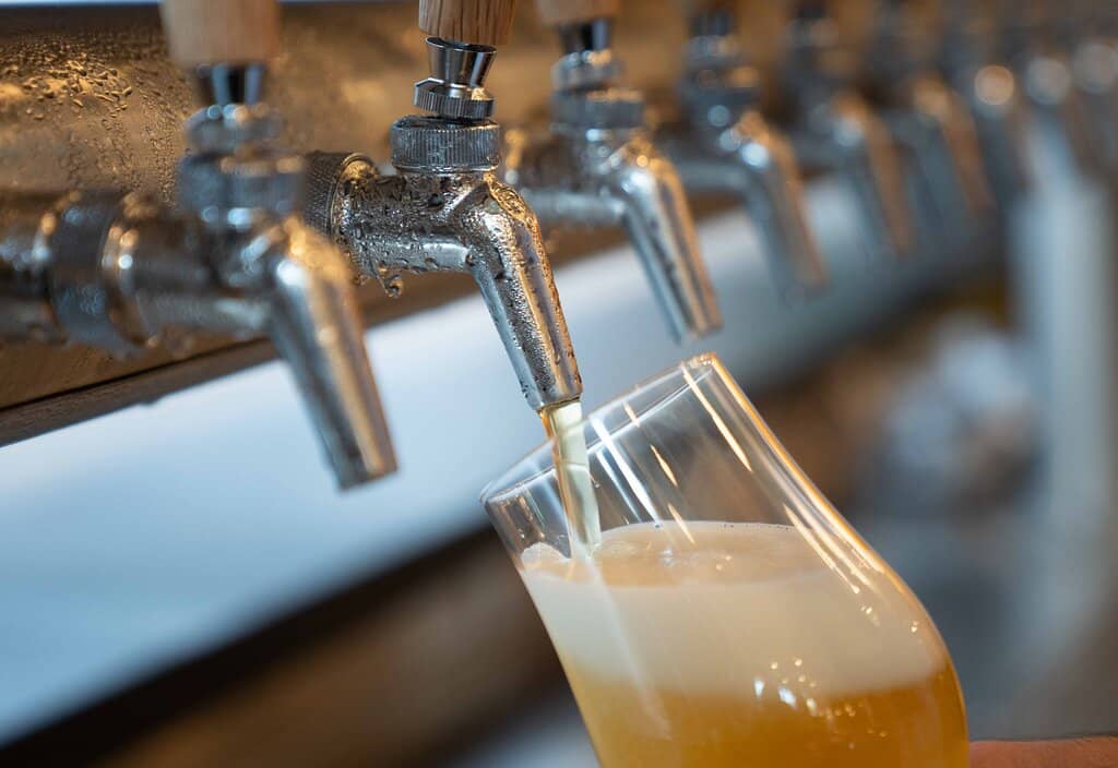 Almost Famous IPA