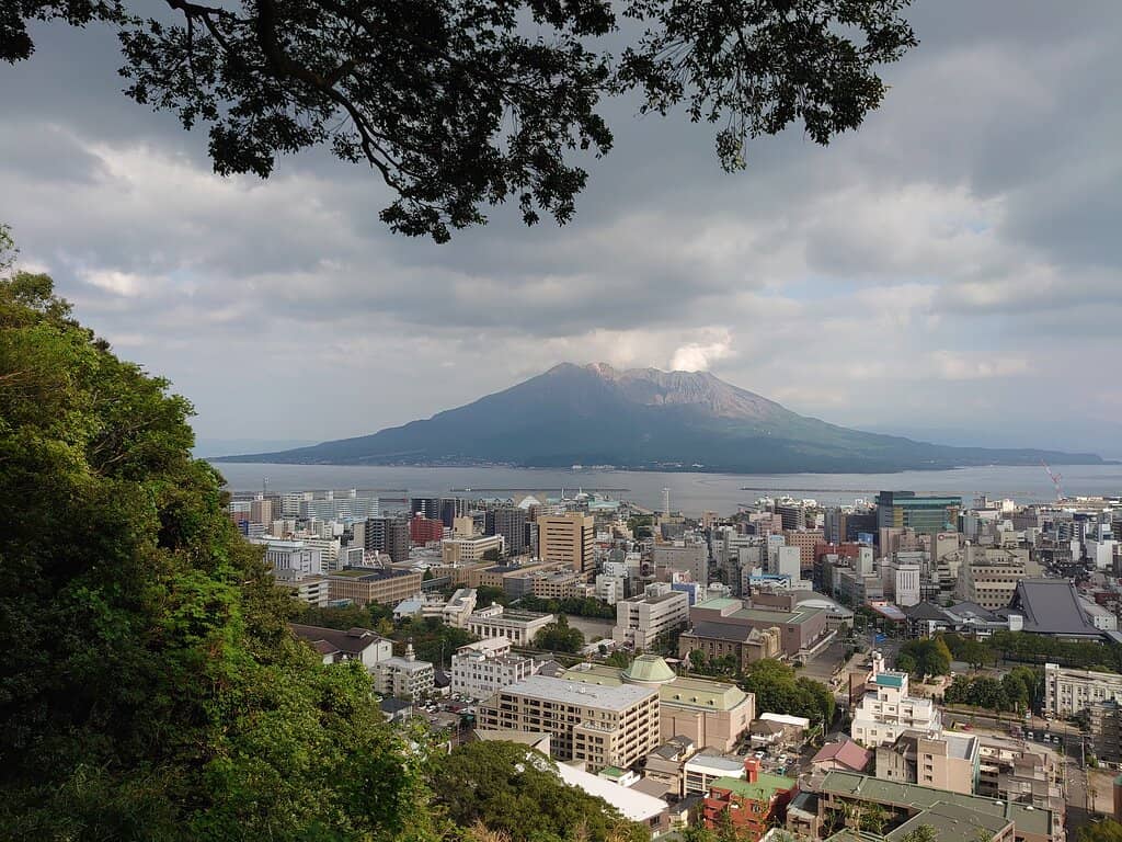 Cherry Blossom Spectacle