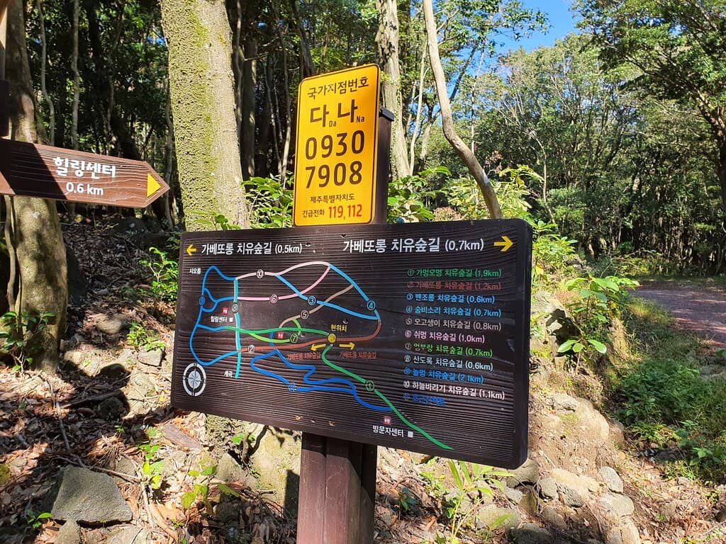 Therapeutic Boardwalks