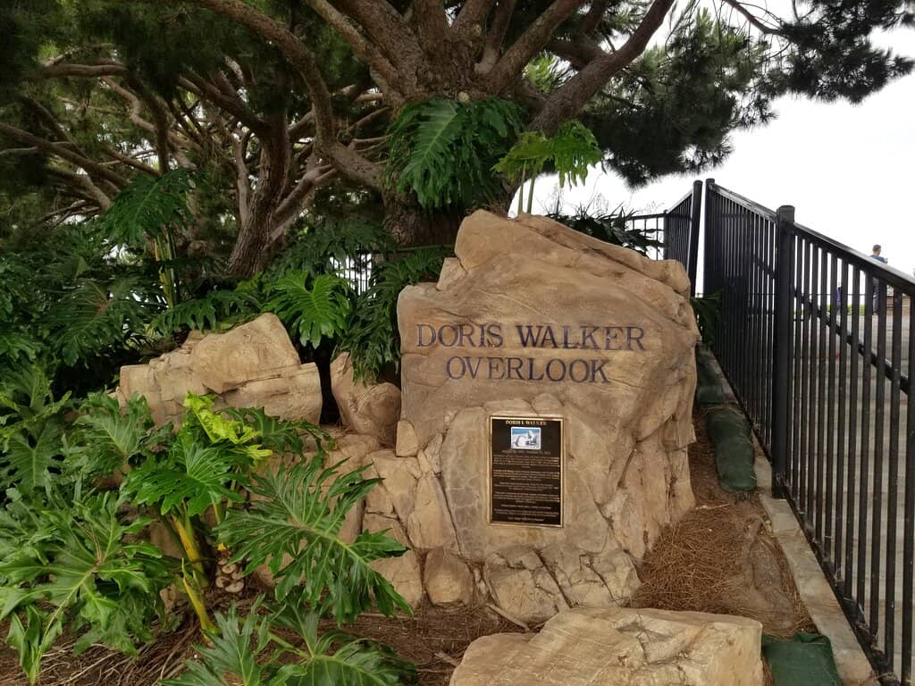 Tranquil Walking Trails