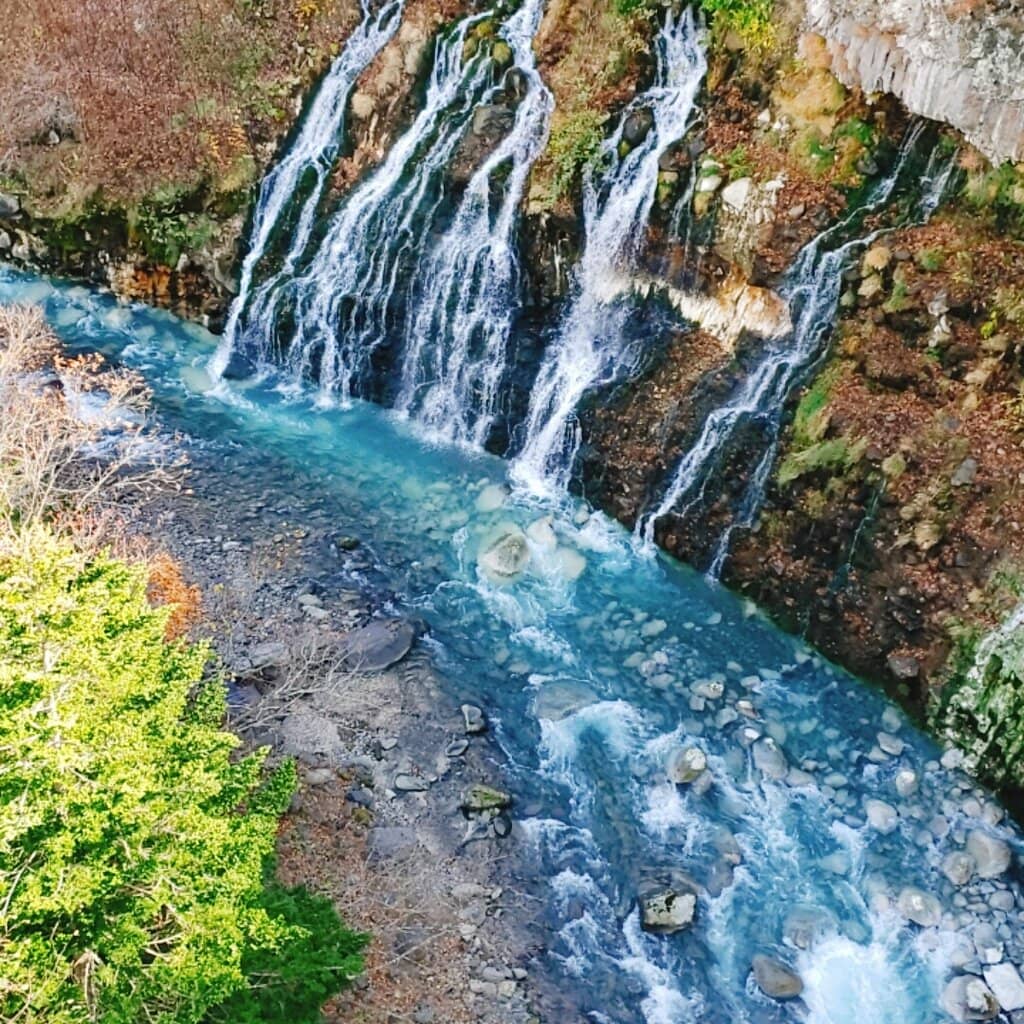Vertical photo