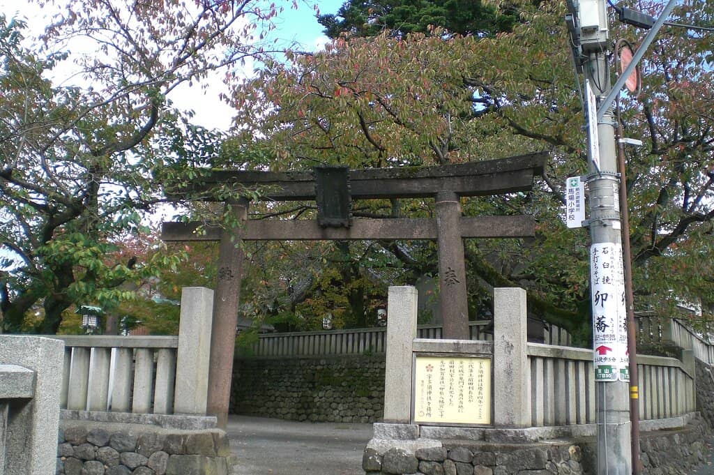 Vertical photo