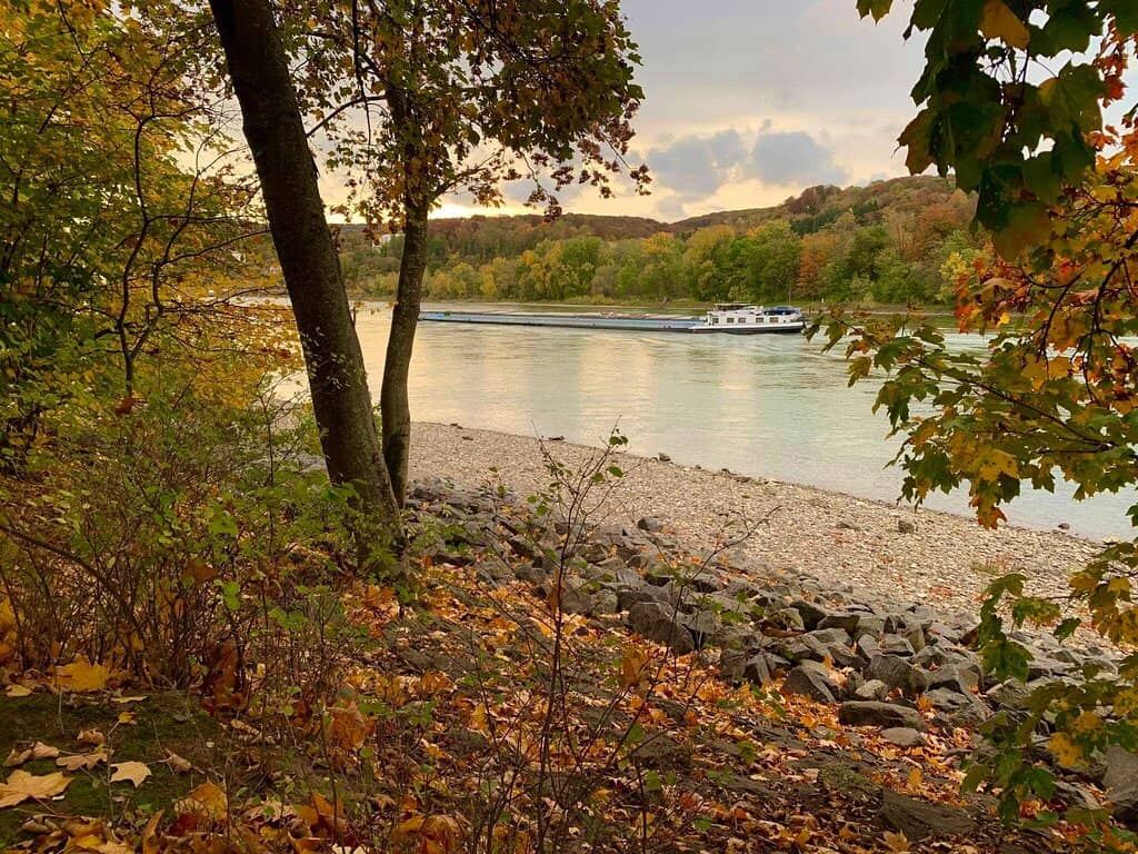 Relaxing Beer Garden