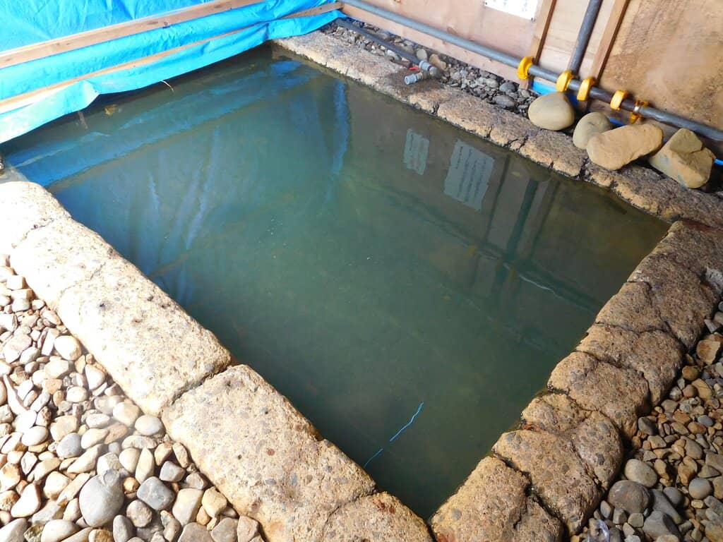 Beachfront Hot Springs