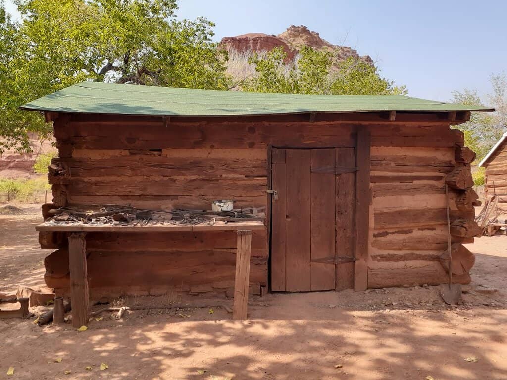 Seasonal Fruit Orchards