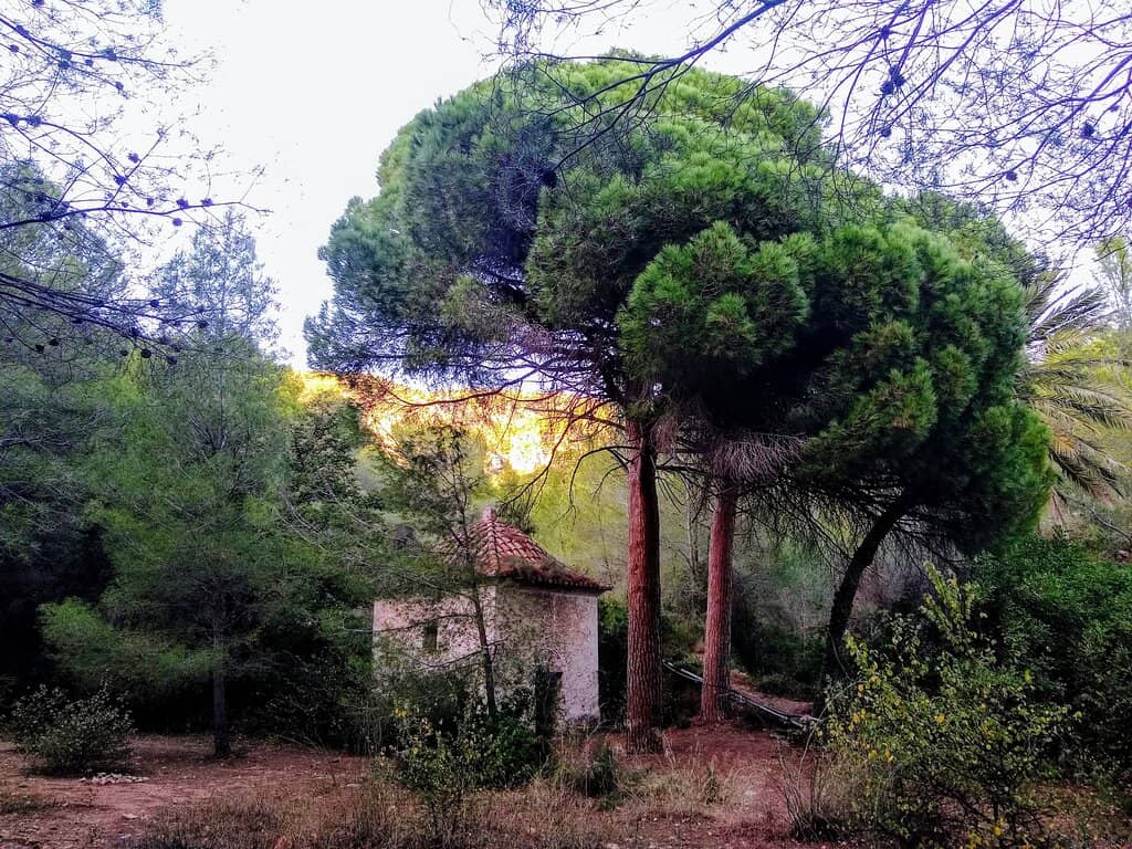 Vertical photo
