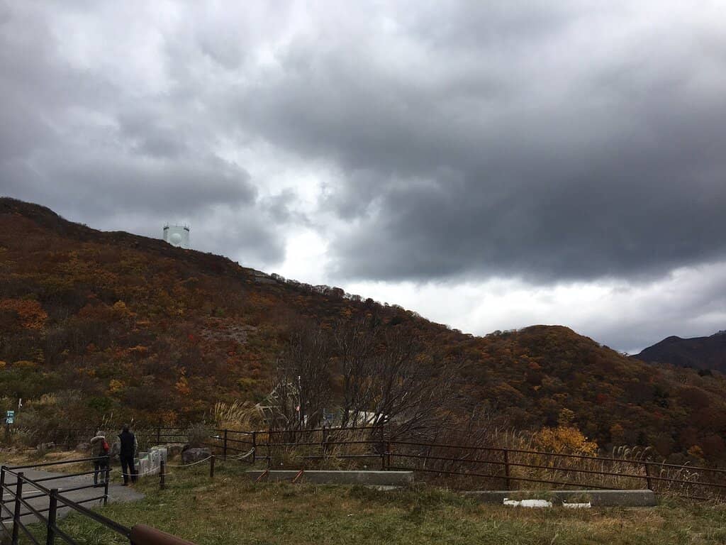 Autumn Foliage Spectacle