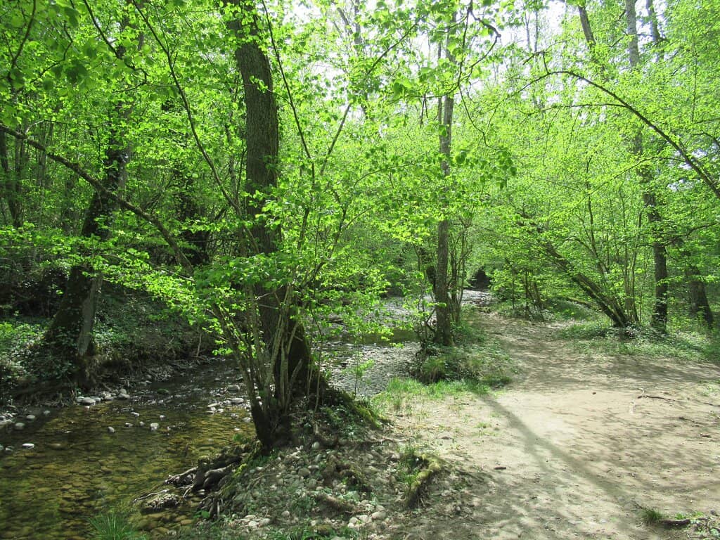 Medieval Village Charm