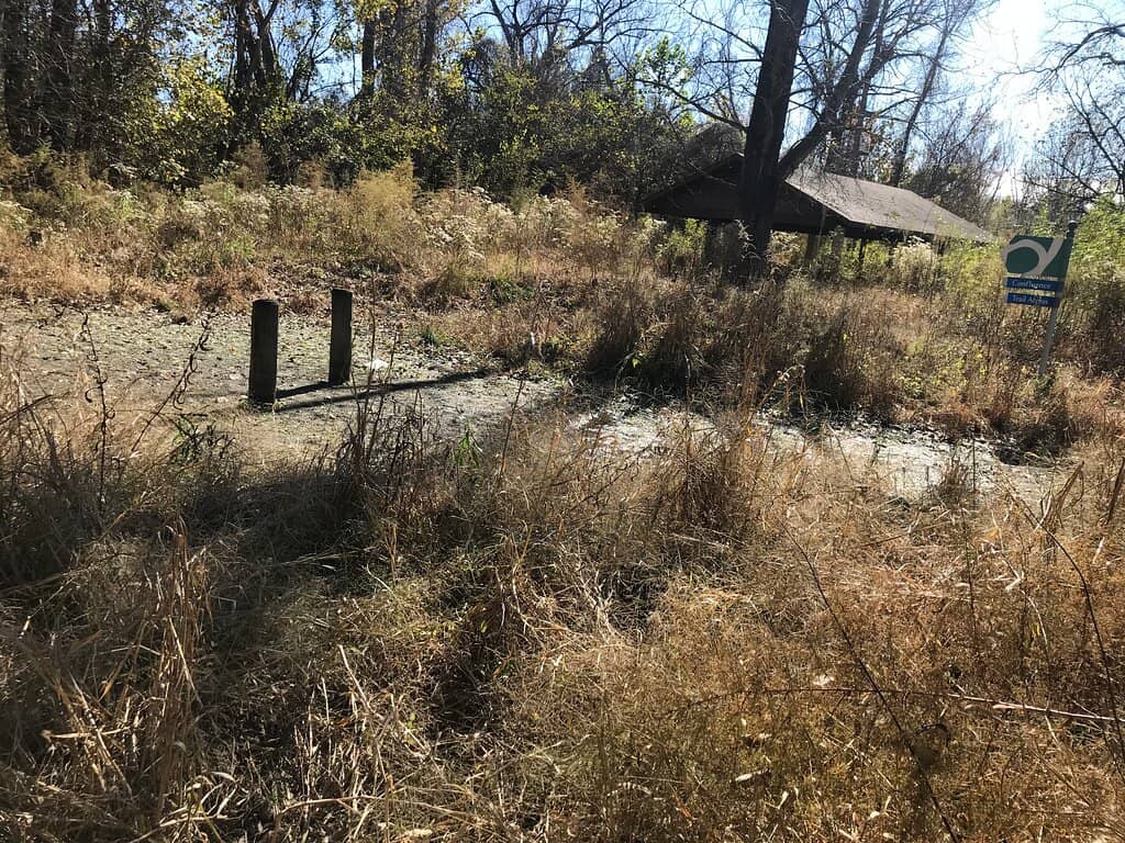 Vast Sunflower Fields