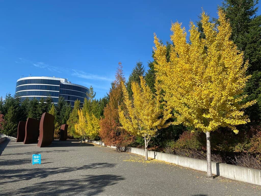 Typewriter Eraser, Scale X