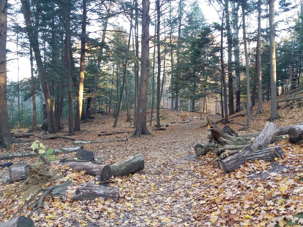 Seasonal Scenery