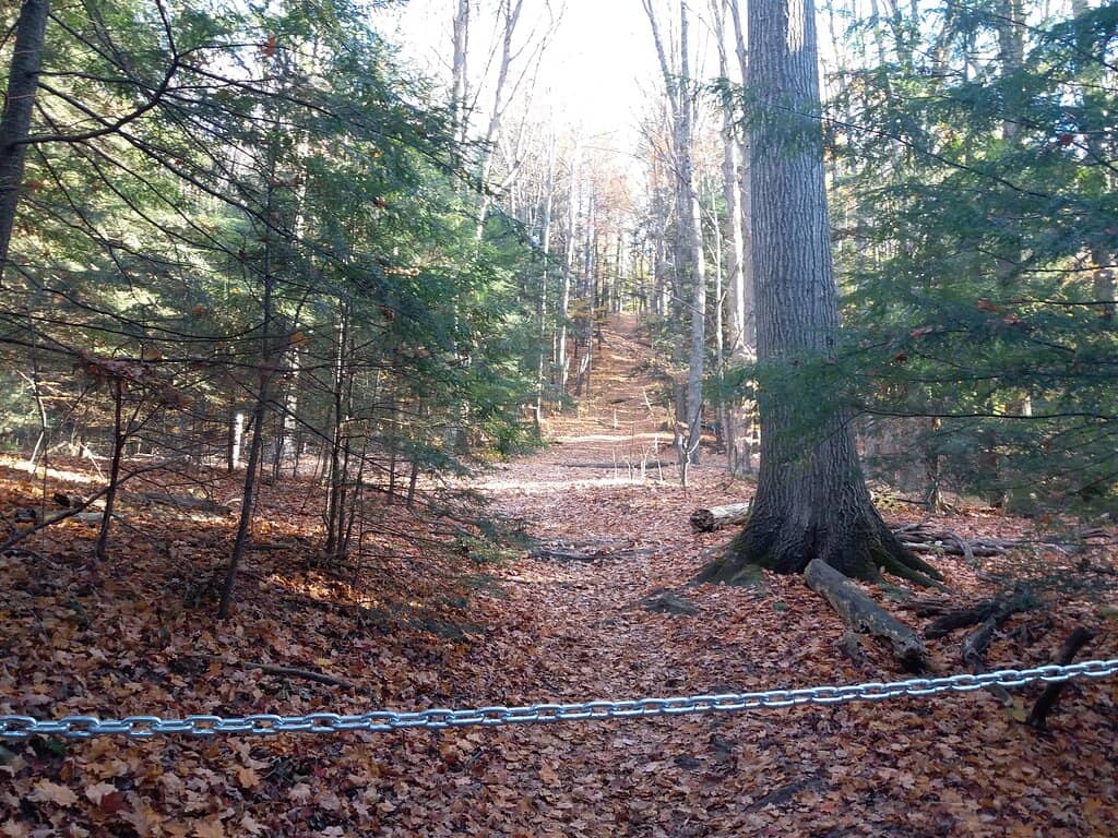 Wooded Trails