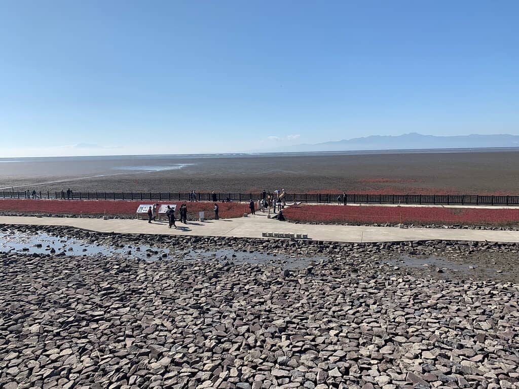 Ariake Sea Mudflats
