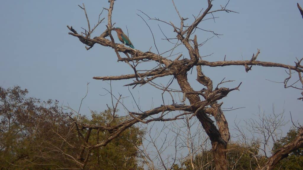 Ken River & Landscapes